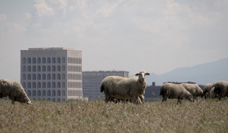 video still La friche, la galaxie, Michel Couturier 2022. Video 4K 9'50. © Michel Couturier