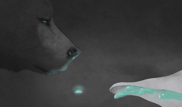 La rivière des ourses - Wallonie-Bruxelles